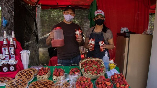 La frutilla, sabor único en comidas dulces y saladas