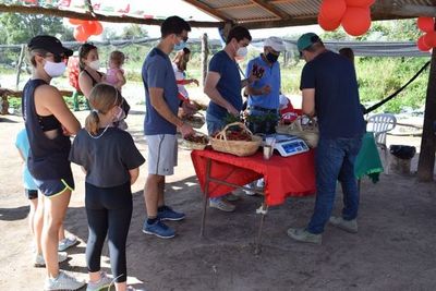 Productores de frutilla quieren agasajar a niños en estado de vulnerabilidad - Nacionales - ABC Color