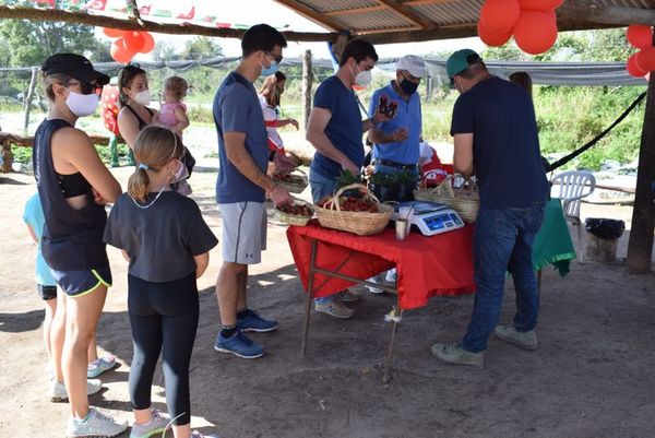 Productores de frutilla quieren agasajar a niños en estado de vulnerabilidad - Nacionales - ABC Color