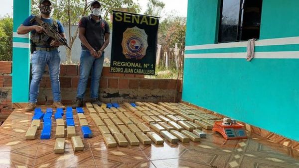 SENAD incauta 122 kilos de marihuana en PJC