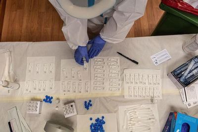 Italia hará test gratuitos a los profesores que no tengan el pase sanitario - Mundo - ABC Color