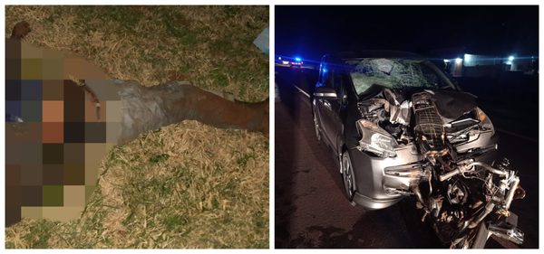 MOTOCICLISTA FALLECE EN ACCIDENTE EN SAN JUAN DEL PNÁ