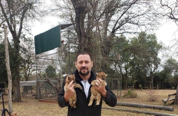 Diario HOY | Rescatan cachorros de puma que iban a ser vendidos clandestinamente