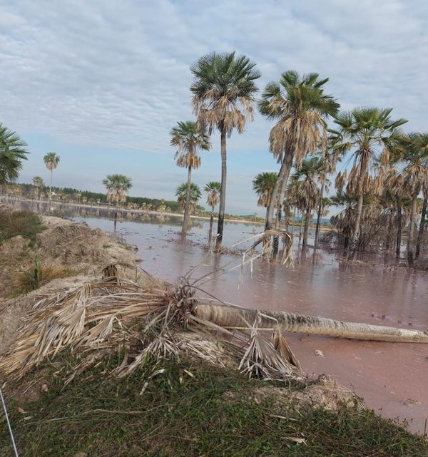 Sigue temor de contaminación de arroyos con desechos industriales en Paraguarí - Nacionales - ABC Color
