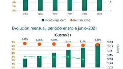 Ganancias de las inversiones del IPS muestran una caída