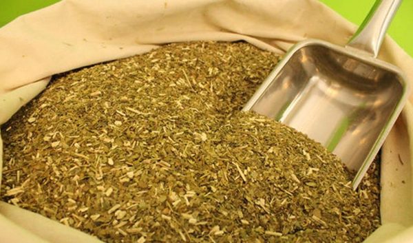 Yerba mate: Producción bajó a causa de la sequía, aseguran