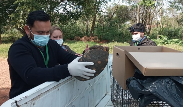 Rescatan animales silvestres que eran ofrecidos en venta