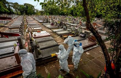La tercera parte de menores muertos por covid en Brasil tiene menos de 1 año - Mundo - ABC Color