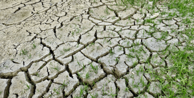Los 3 mensajes del “código rojo” de los científicos ante la crisis climática | Ñanduti