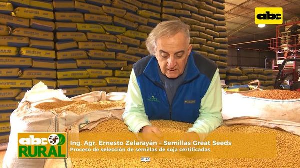 ABC Rural: Por qué elegir semillas de soja con certificación - ABC Rural - ABC Color