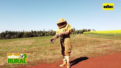 ABC Rural: Apicultura y agricultura, que falta para mejorar la unión - ABC Rural - ABC Color