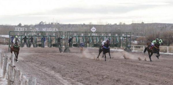 Drogaron un caballo de carreras: llegó primero pero después de cruzar la meta cayó desplomado y murió