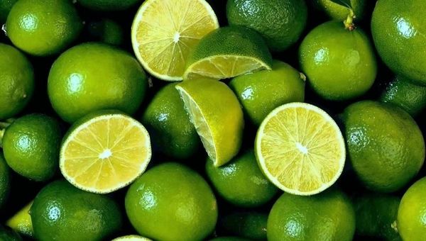 Cultivo de limón aumenta en Paraguay gracias a su buena demanda (producción anual ronda las 16.000 toneladas)