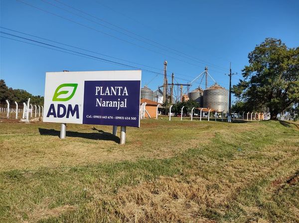 De nuevo favorecen a ADM en la Corte - Nacionales - ABC Color