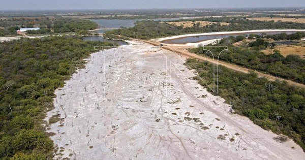 La Nación / Pobladores del Chaco sienten los efectos de sequía en producciones