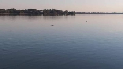 Diario HOY | Hallan cadáver de una mujer en el río Paraná