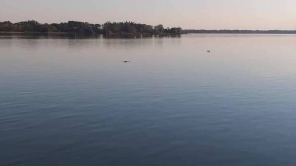 Diario HOY | Hallan cadáver de una mujer en el río Paraná