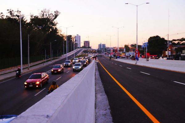 El Corredor Vial Botánico está habilitado