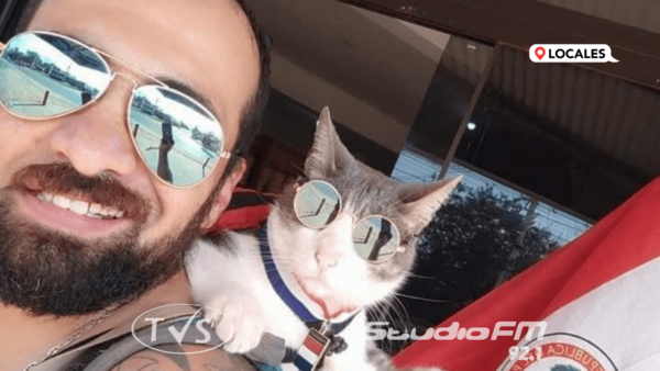 ENVENENAN AL «GATO MOCHILERO», MASCOTA QUE RECORRIA EL MUNDO CON SU DUEÑO
