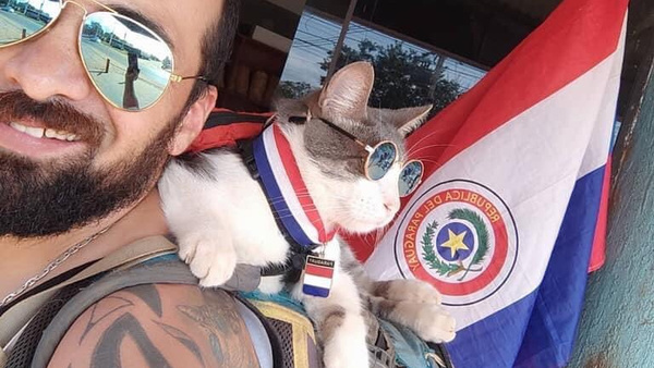 Crónica / [VÍDEO] ¡Mataron al gato mochilero!