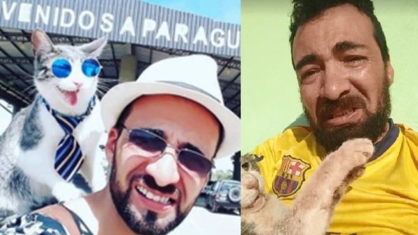 ¡Triste! Envenenaron y mataron al gato mochilero