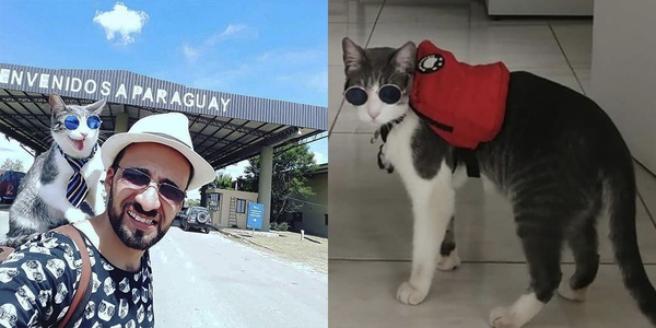 MURIÓ ENVENANDO EL CONOCIDO «GATO MOCHILERO»