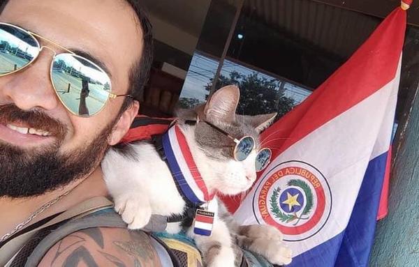 Triste noticia: asesinan al gato mochilero “Bella”