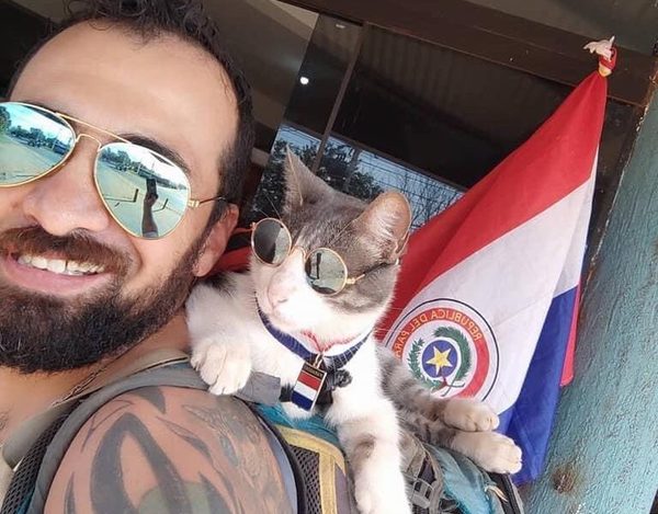Envenenan al «Gato Mochilero»