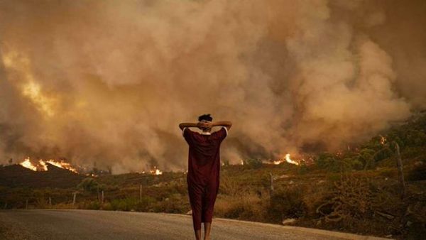 Arden bosques del norte de Marruecos, con temperaturas de hasta 49°C