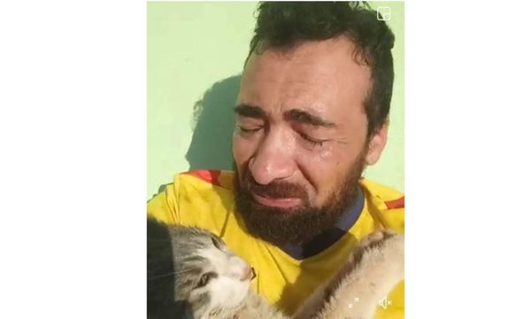 “Gato mochilero” muere envenado. “Aquí se ve la crueldad de los humanos”