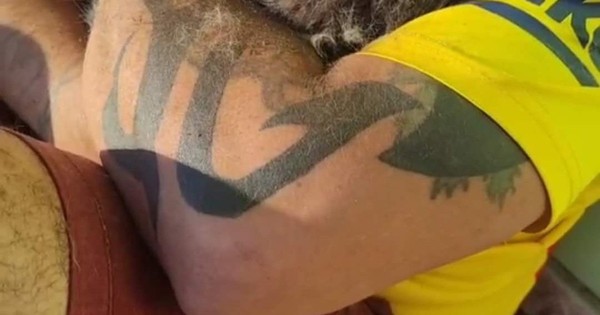 La Nación / Matan al gato mochilero: “Mi corazón está partido en mil pedazos”, lamenta viajero colombiano