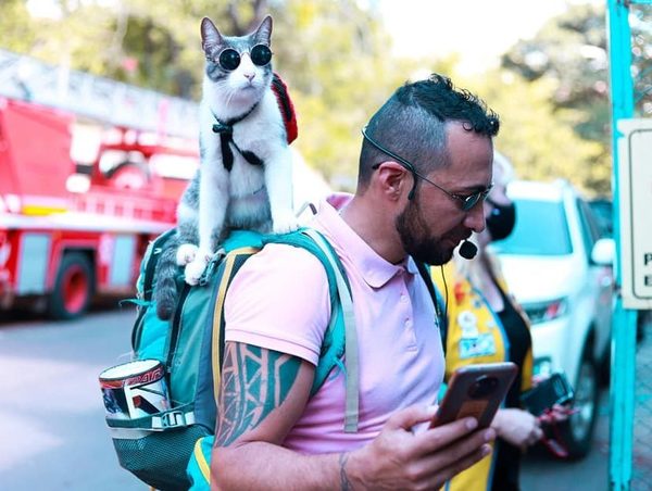 "Gato Mochilero" murió envenenado, denuncia su dueño · Radio Monumental 1080 AM