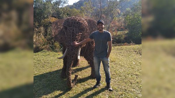 Animales hechos de ysypo causan furor y joven artista fue aplaudido por miles