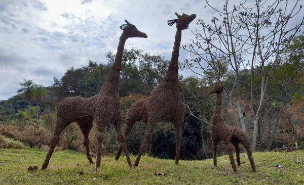 Diario HOY | Tobateños crean animales con ysypo