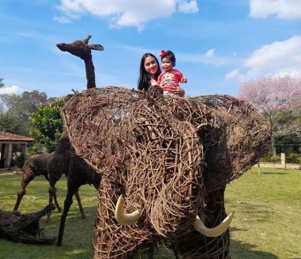 Jirafas y elefantes de ysypo sorprenden al país desde Tobatí - Nacionales - ABC Color