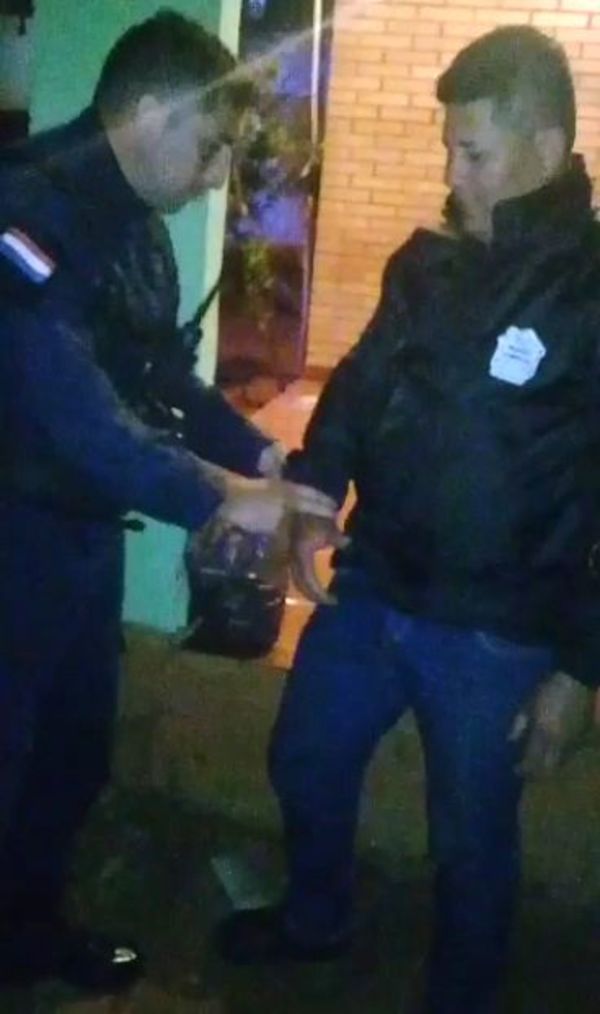Intentaba robar frutillas y fue detenido - Nacionales - ABC Color