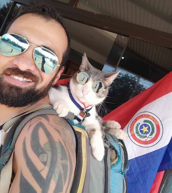 Denunciarán ante la Fiscalía el envenenamiento del gato mochilero - Nacionales - ABC Color