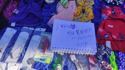 Dueño de gato envenenado seguirá con lucha contra el maltrato animal