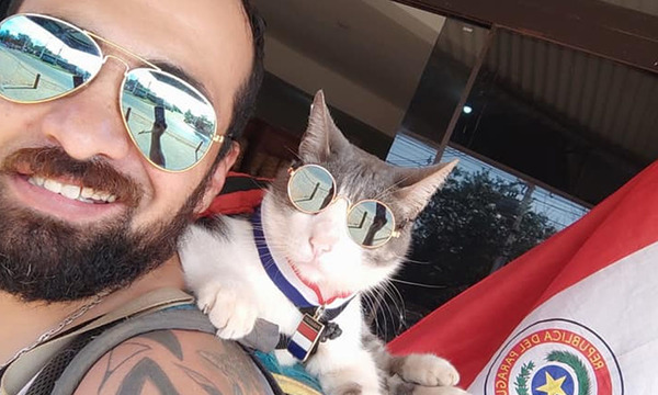 Causa indignación y repudio en las redes muerte del gato mochilero - OviedoPress