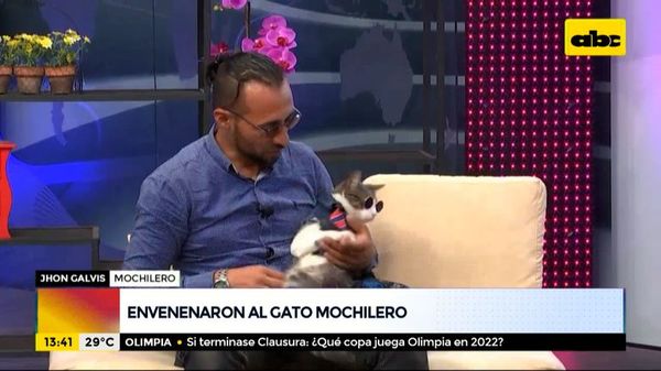 Envenenan y matan al “Gato Mochilero” - ABC Noticias - ABC Color