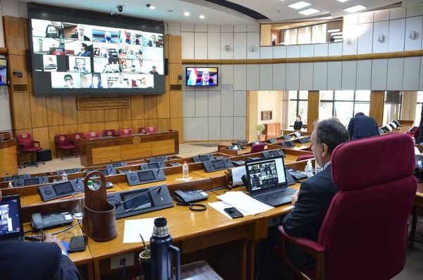Piden transparencia en compras públicas y el fin de las empresas “de maletín” - Nacionales - ABC Color