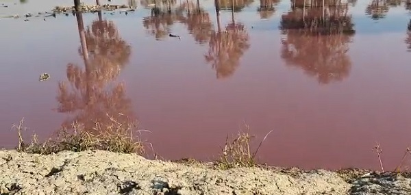 Curtiembre es suspendida por el MADES por contaminar el Lago Ypoá