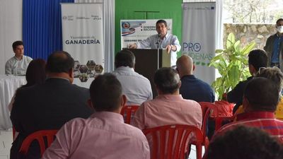 Hugo Velázquez minimiza impacto económico por pandemia