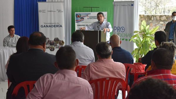 Hugo Velázquez minimiza impacto económico por pandemia