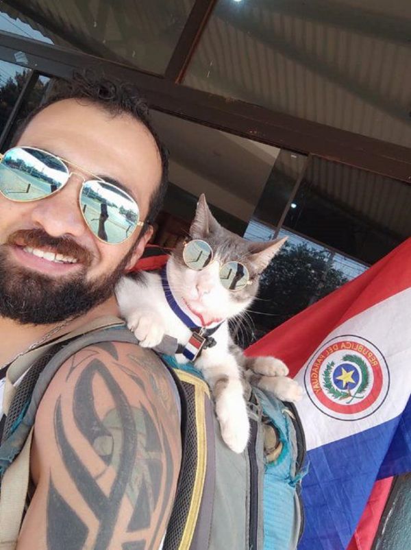 Anuncian manifestación frente a Defensa Animal para pedir justicia para Bella, el gato mochilero | Ñanduti