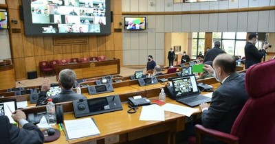 La Nación / Presupuesto 2022: senadores designarán integrantes para la Bicameral