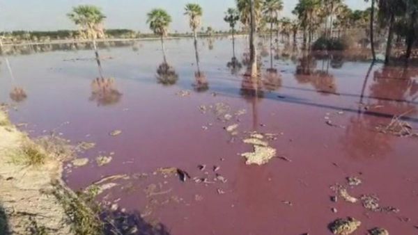 Lago Ypoá: Empresa tiene dos investigaciones por procesamiento ilícito de desechos