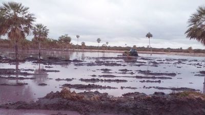 Paraguarí: Tras derrame de   efluente rojo firma debe restaurar        2 hectáreas