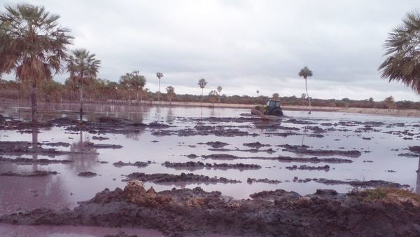 Paraguarí: Tras derrame de efluente rojo firma debe restaurar 2 hectáreas