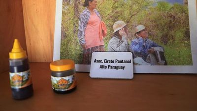 Paraguay camina hacia mejores precios de la miel con certificación orgánica